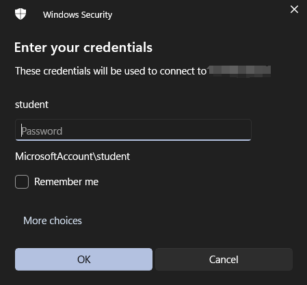 Remote Desktop Connection Established